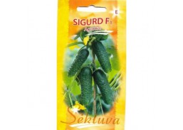 Agurkų sėklos SIGURD