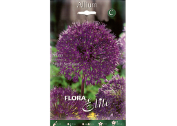 Sodo ir daržo prekės. Sėklos, daigyklos, durpinės tabletės. Gėlių sėklos. Dekoratyviniai česnakai Allium aflatunense Purple Sens 5sv.