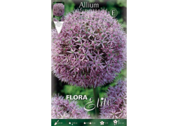 Sodo ir daržo prekės. Sėklos, daigyklos, durpinės tabletės. Gėlių sėklos. Dekoratyvinis česnakas Allium Gladiator 1sv