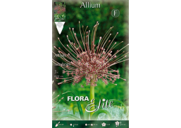 Sodo ir daržo prekės. Sėklos, daigyklos, durpinės tabletės. Gėlių sėklos. Dekoratyvinis svogūnas Allium Schubertii 3sv.