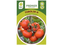 Ankstyvos pomidorų sėklos Tobolsk H 10s 