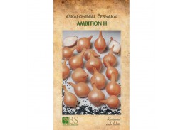 Askaloniniai česnakai AMBITION 75 sėklos 