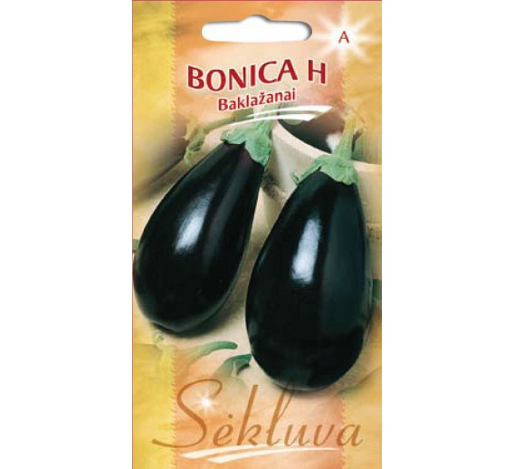 Baklažanų sėklos BONICA