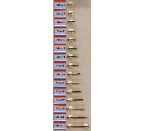 Baldinis varžtas M6x60 mm 