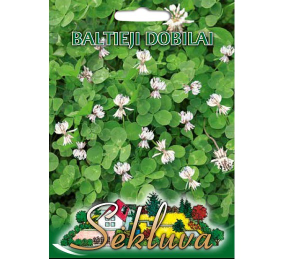 Sodo ir daržo prekės. Sėklos, daigyklos, durpinės tabletės. Pašarinių žolių sėklos. Baltieji dobilai Abercrest 100g