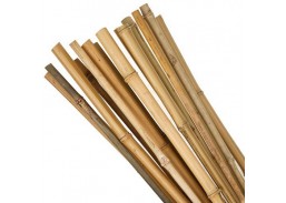 Bambukinė lazda 120cm 12/14mm 