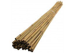 Bambukinė lazda 210 cm 20/22 mm 