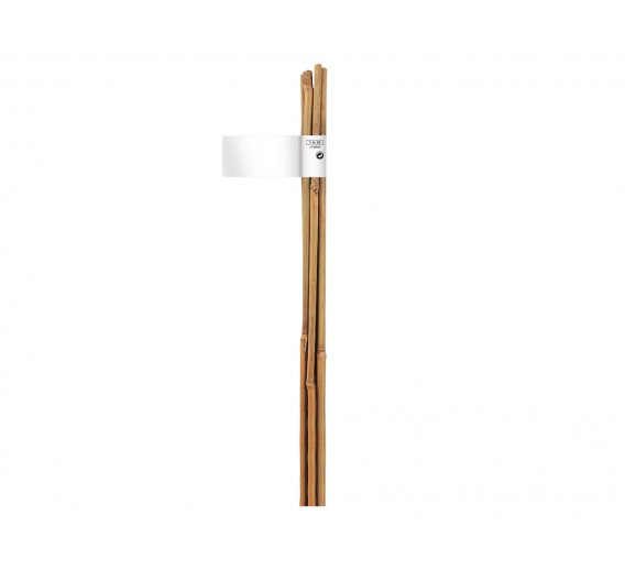 Bambukinė lazda 60 cm 6/8mm 6 vnt. 
