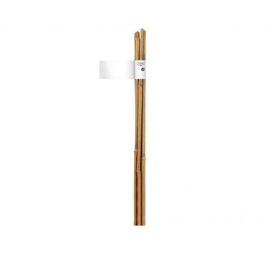 Sodo ir daržo prekės. Atramos, laikikliai augalams. Bambukinė lazda 60 cm 6/8mm 6 vnt. 