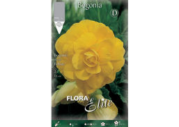 Sodo ir daržo prekės. Sėklos, daigyklos, durpinės tabletės. Gėlių sėklos. Begonija Begonia Double Yellow 3sv.