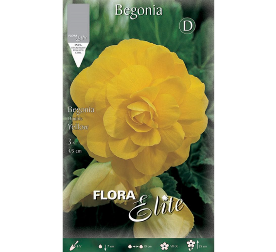Sodo ir daržo prekės. Sėklos, daigyklos, durpinės tabletės. Gėlių sėklos. Begonija Begonia Double Yellow 3sv.