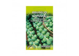 Sodo ir daržo prekės. Sėklos, daigyklos, durpinės tabletės. Kopūstų sėklos. Briuselio kopūstai Groninger 1 g 