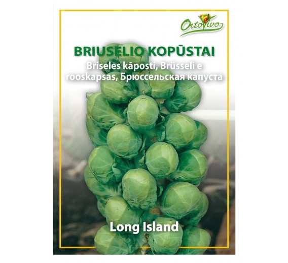 Sodo ir daržo prekės. Sėklos, daigyklos, durpinės tabletės. Kopūstų sėklos. Briuselio kopūstai Long Islands 2.5g 