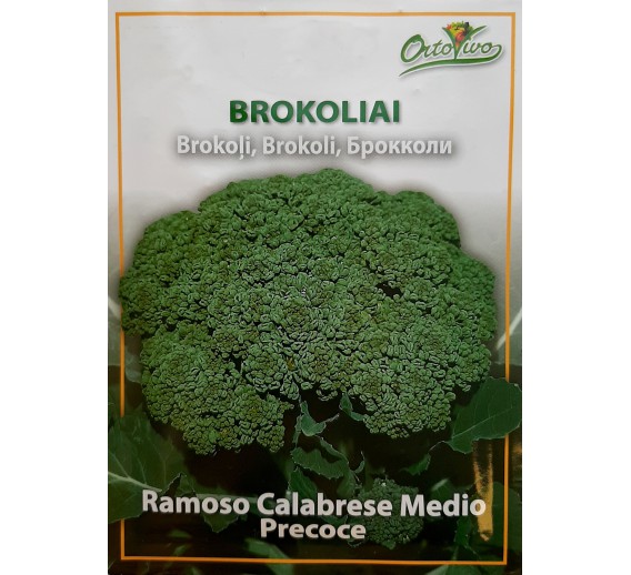 Sodo ir daržo prekės. Sėklos, daigyklos, durpinės tabletės. Kopūstų sėklos. Brokoliai Ramoso Calabrese Medio Precoce 2.5g 