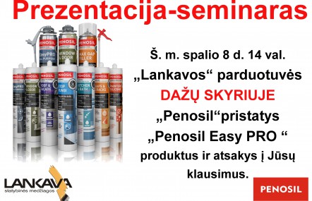 Prezentacija - seminaras