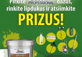 Profesionalus dažytojas 2017