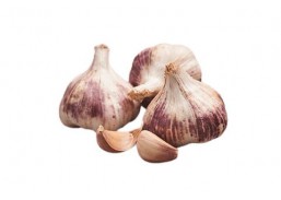 Sodo ir daržo prekės. Sėklos, daigyklos, durpinės tabletės. Svogūnų ir česnakų sodinukai, sėklos. Česnakų sodinukai žieminiai GERMIDOUR 50-60 mm