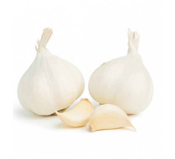 Sodo ir daržo prekės. Sėklos, daigyklos, durpinės tabletės. Svogūnų ir česnakų sodinukai, sėklos. Česnakų sodinukai žieminiai MESSIDROME 50-60 mm