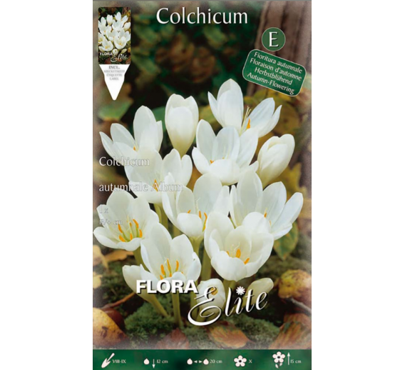 Sodo ir daržo prekės. Sėklos, daigyklos, durpinės tabletės. Gėlių sėklos. Rudeninis vėlyvis Colchicum autumnale Album 1sv.