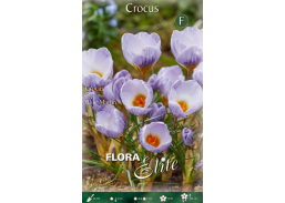 Sodo ir daržo prekės. Sėklos, daigyklos, durpinės tabletės. Gėlių sėklos. Krokai Crocus chrys Blue Marlin 15sv