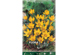 Sodo ir daržo prekės. Sėklos, daigyklos, durpinės tabletės. Gėlių sėklos. Krokai Crocus chrys Dorothy 15sv