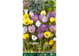 Sodo ir daržo prekės. Sėklos, daigyklos, durpinės tabletės. Gėlių sėklos. Krokai Crocus Mixed 10sv