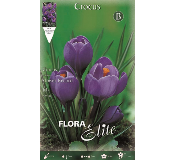 Sodo ir daržo prekės. Sėklos, daigyklos, durpinės tabletės. Gėlių sėklos. Krokai Crocus vernus Flower Record 10sv