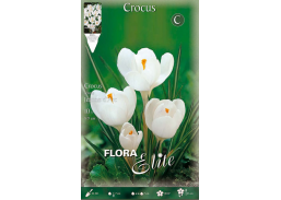 Sodo ir daržo prekės. Sėklos, daigyklos, durpinės tabletės. Gėlių sėklos. Krokai Crocus vernus Janne d'Arc 10sv