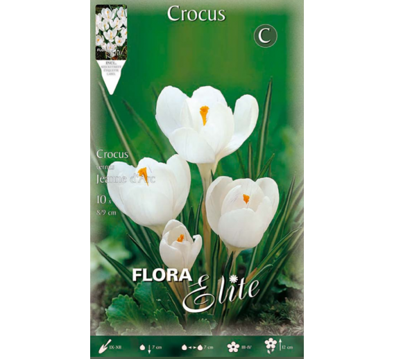 Sodo ir daržo prekės. Sėklos, daigyklos, durpinės tabletės. Gėlių sėklos. Krokai Crocus vernus Janne d'Arc 10sv