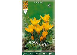 Sodo ir daržo prekės. Sėklos, daigyklos, durpinės tabletės. Gėlių sėklos. Krokai Crocus vernus Lagre Yellov 10sv