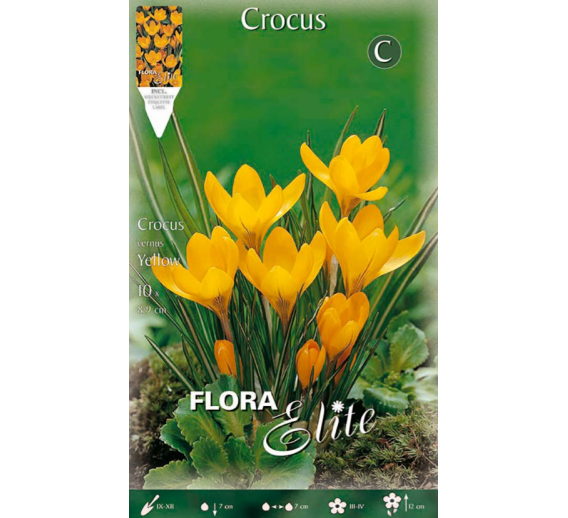 Sodo ir daržo prekės. Sėklos, daigyklos, durpinės tabletės. Gėlių sėklos. Krokai Crocus vernus Lagre Yellov 10sv