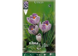 Sodo ir daržo prekės. Sėklos, daigyklos, durpinės tabletės. Gėlių sėklos. Krokai Crocus vernus Pickwick 10sv