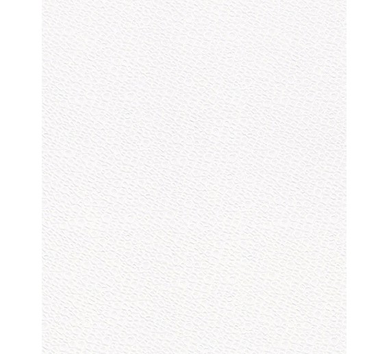 Vidaus apdailos prekės. Sienų apdailos medžiagos. Tapetai. Dažomi tapetai. Dažomas tapetas 9541 Marburg 1,06x25m. 