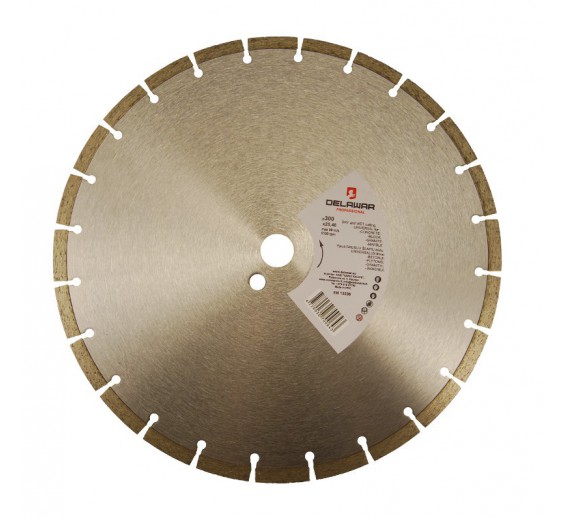 Deimantinis diskas DeLawar Segment D300x25.40 