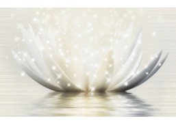 Dekorinė plytelė MAGIC LOTUS CREAM 3 25x40 cm 