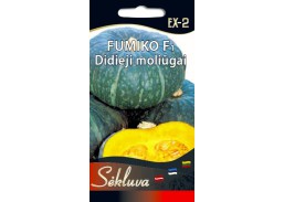 Sodo ir daržo prekės. Sėklos, daigyklos, durpinės tabletės. Cukinijos, moliūgai, baklažanai. Didieji moliūgai FUMIKO F1