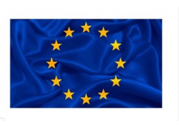 Europos sąjungos vėliava 100x170 su karabinais 
