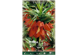 Sodo ir daržo prekės. Sėklos, daigyklos, durpinės tabletės. Gėlių sėklos. Karališka margutė Fritillaria imperialis Rubra 1sv