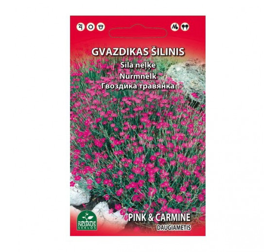 Sodo ir daržo prekės. Sėklos, daigyklos, durpinės tabletės. Gėlių sėklos. Gvazdikas šilinis daugiametis 0.2 g 