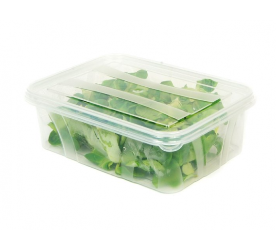 Namų apyvokos prekės. Švaros prekės. Kibirai, dubenys, šiukšliadėžės. Vonelės, dubenys, dėžutės. Hermetinis indas MASTER BOX FOOD 0.7L 