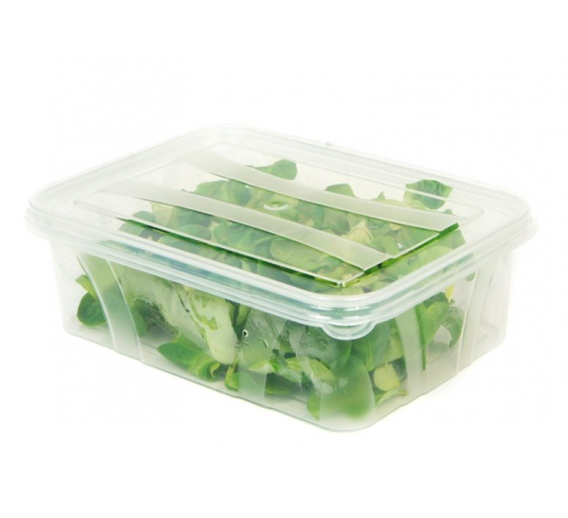 Namų apyvokos prekės. Švaros prekės. Kibirai, dubenys, šiukšliadėžės. Vonelės, dubenys, dėžutės. Hermetinis indas MASTER BOX FOOD 1.2L 