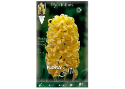 Sodo ir daržo prekės. Sėklos, daigyklos, durpinės tabletės. Gėlių sėklos. Hiacintas Hyacinthus City of Haarlem 3sv