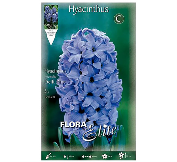 Sodo ir daržo prekės. Sėklos, daigyklos, durpinės tabletės. Gėlių sėklos. Hiacintas Hyacinthus Delfi Blue 3sv