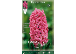 Sodo ir daržo prekės. Sėklos, daigyklos, durpinės tabletės. Gėlių sėklos. Hiacintas Hyacinthus Pink Pearl 3sv