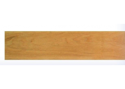 Juodalksnio gultai 25x70 mm 