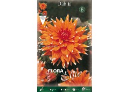 Sodo ir daržo prekės. Sėklos, daigyklos, durpinės tabletės. Gėlių sėklos. Jurginai Dahlia cactus color spectacle 1 sv. 