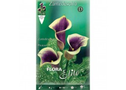 Sodo ir daržo prekės. Sėklos, daigyklos, durpinės tabletės. Gėlių sėklos. Kalija Zantedeschia Picasso 1 sv. 