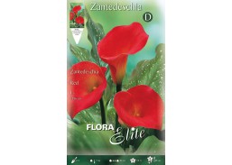 Sodo ir daržo prekės. Sėklos, daigyklos, durpinės tabletės. Gėlių sėklos. Kalija Zantedeschia Red 1 sv. 