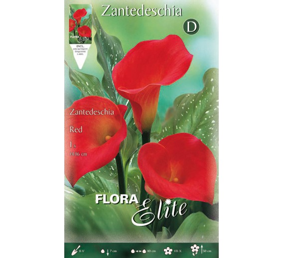 Sodo ir daržo prekės. Sėklos, daigyklos, durpinės tabletės. Gėlių sėklos. Kalija Zantedeschia Red 1 sv. 