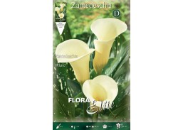 Sodo ir daržo prekės. Sėklos, daigyklos, durpinės tabletės. Gėlių sėklos. Kalija Zantedeschia White 1 sv. 